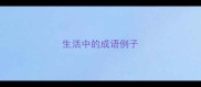 生活中的成语例子