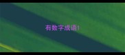 有数字成语