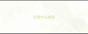 文思什么成语