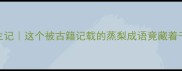 蒸梨成珠养生记这个被古籍记载的蒸梨成语竟藏着千年中医智慧
