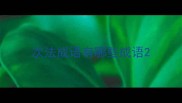 次法成语有哪些成语