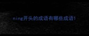 ning开头的成语有哪些成语