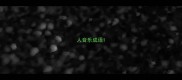 人音乐成语