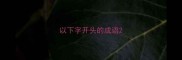 以下字开头的成语