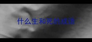 什么生和死的成语