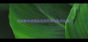 热闹繁华成语的文化内涵与实用价值