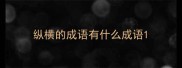 纵横的成语有什么成语