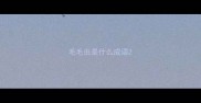 毛毛虫是什么成语