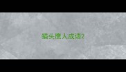 猫头鹰人成语