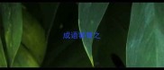 成语饕餐之