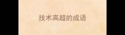 技术高超的成语