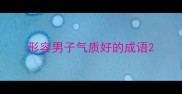 形容男子气质好的成语