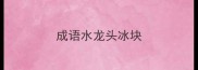 成语水龙头冰块