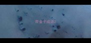 带金子成语