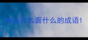 什么什么面什么的成语