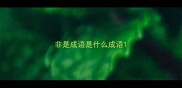 非是成语是什么成语
