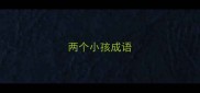 两个小孩成语