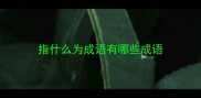 指什么为成语有哪些成语