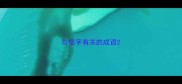 与信字有关的成语