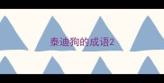泰迪狗的成语