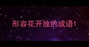 形容花开放的成语
