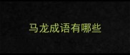 马龙成语有哪些