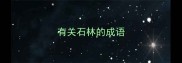 有关石林的成语