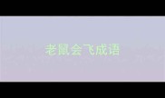 老鼠会飞成语