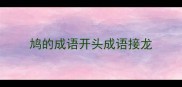 鸠的成语开头成语接龙