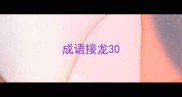 成语接龙30