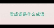 君成语是什么成语