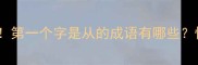 成语接龙必学技巧第一个字是从的成语有哪些快速掌握高频词组