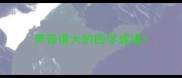 声音很大的四字成语