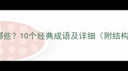 由词组成的成语有哪些10个经典成语及详细附结构拆解与实用案例