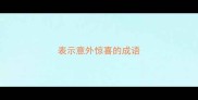 表示意外惊喜的成语