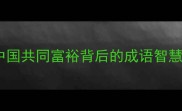 民富国强中国共同富裕背后的成语智慧与政策实践