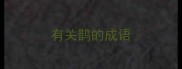 有关鹊的成语