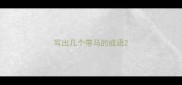 写出几个带马的成语