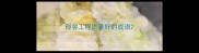 形容工程质量好的成语