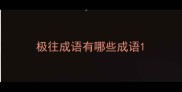 极往成语有哪些成语
