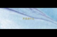 齐成语什么