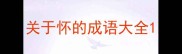 关于怀的成语大全