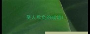 受人欺负的成语