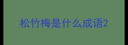 松竹梅是什么成语