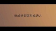 染成语有哪些成语大