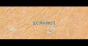 坚守原则的成语