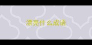 漂亮什么成语