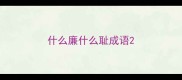 什么廉什么耻成语