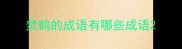 焚鹤的成语有哪些成语