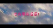 七有哪些成语